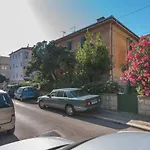 Palm Garden Apartment In Center With Big Terrace